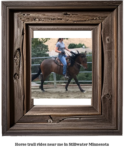 horse trail rides near me in Stillwater, Minnesota